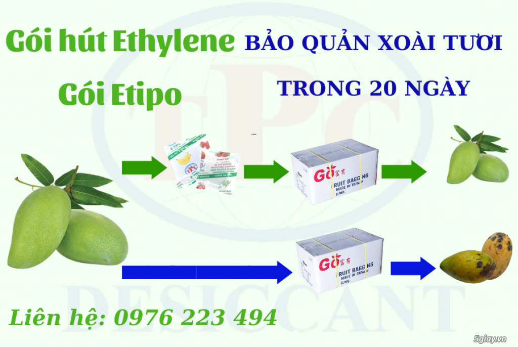 Gói hút khí Ethylene - Etipo bảo quản trái cây tươi xuất khẩu