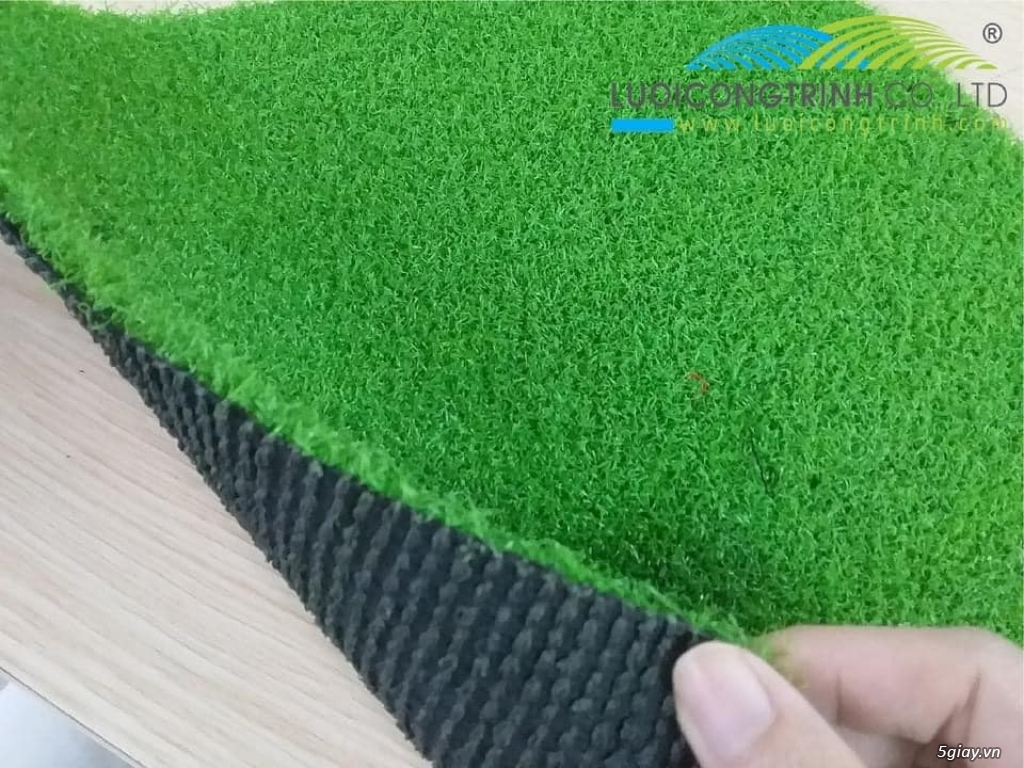 Cỏ golf nhập khẩu - 12
