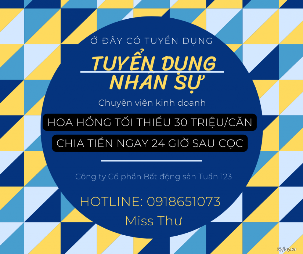 TUYỂN DỤNG NHÂN SỰ NHÂN VIÊN KINH DOANH SALE NHÀ PHỐ. - 1