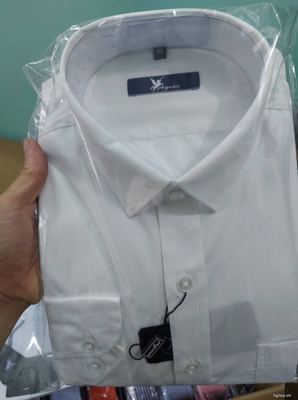 Áo sơ mi Nam Pegasus ngắn tay, dài tay , hàng thương hiệu - 1