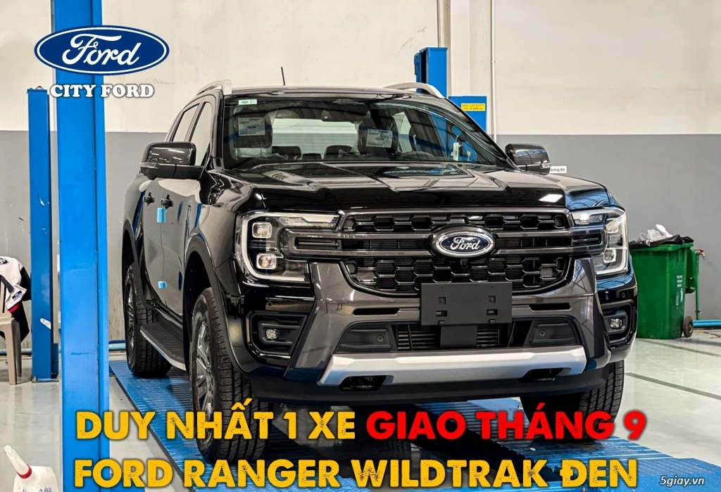 Ford Wildtrak (Đen/trắng) và XLS (Đen) - 4