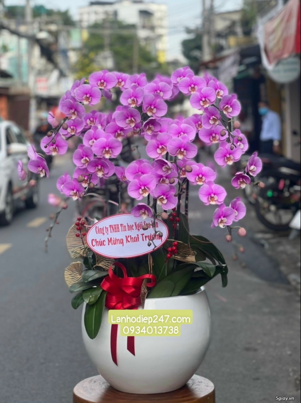 Cửa hàng hoa lan hồ điệp đẹp nhất tphcm chuyên Lan Hồ Điệp cao cấp - 18