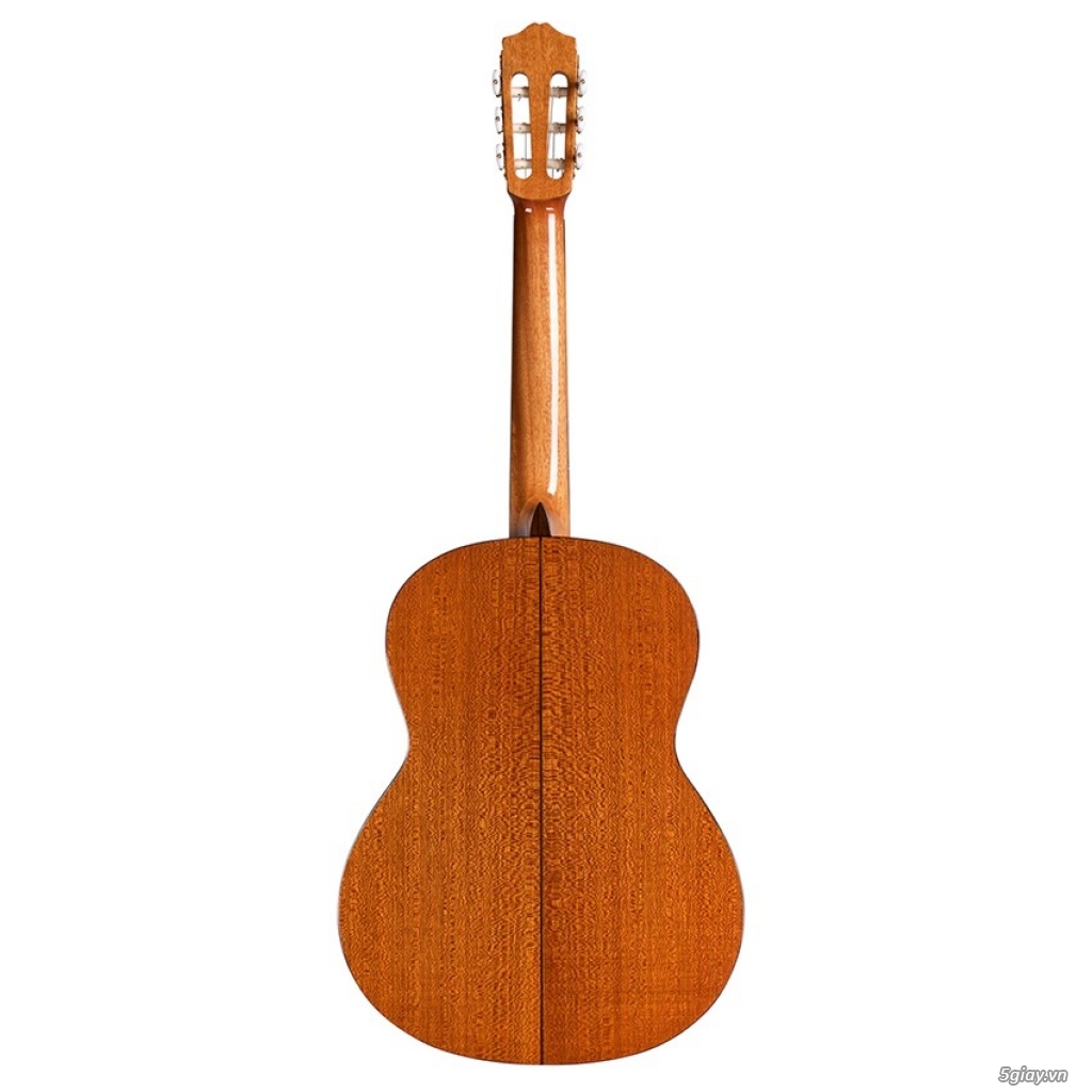 Đàn guitar chơi chuyên nghiệp - Bán trả góp lãi suất 0%