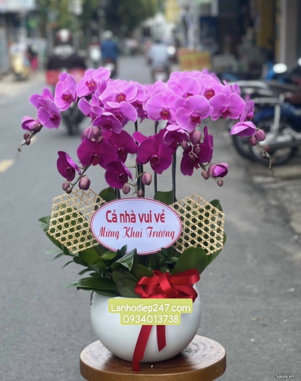 Những mẫu Lan Hồ Điệp cao cấp được ưa chuộng nhất tại Hoa Lan 247 HCM - 17