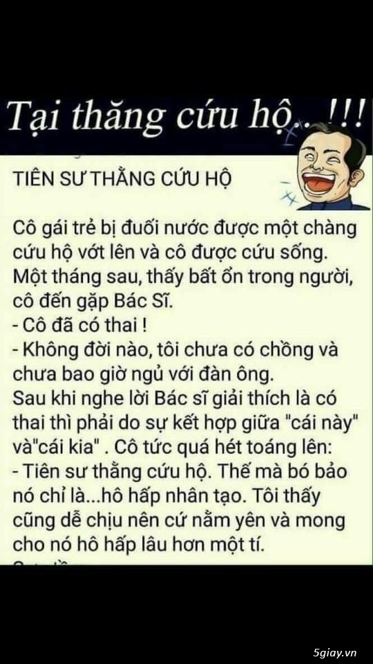 Hình hài hước... Nhiều thể loại vui nhôn
