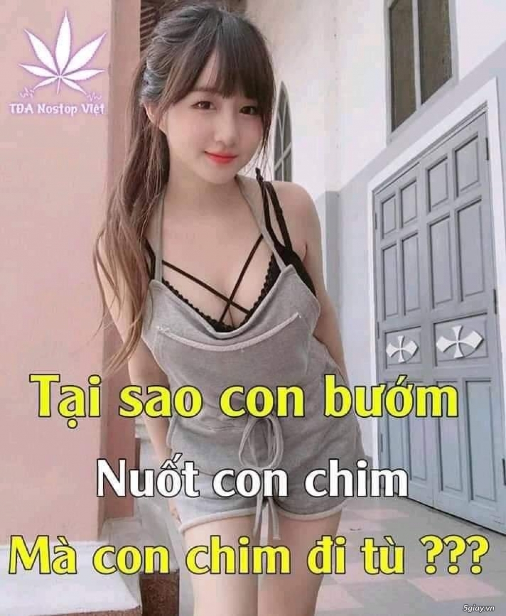 Hình hài hước... Nhiều thể loại vui nhôn - 1