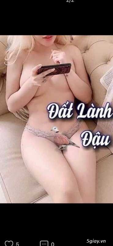 Hình hài hước... Nhiều thể loại vui nhôn