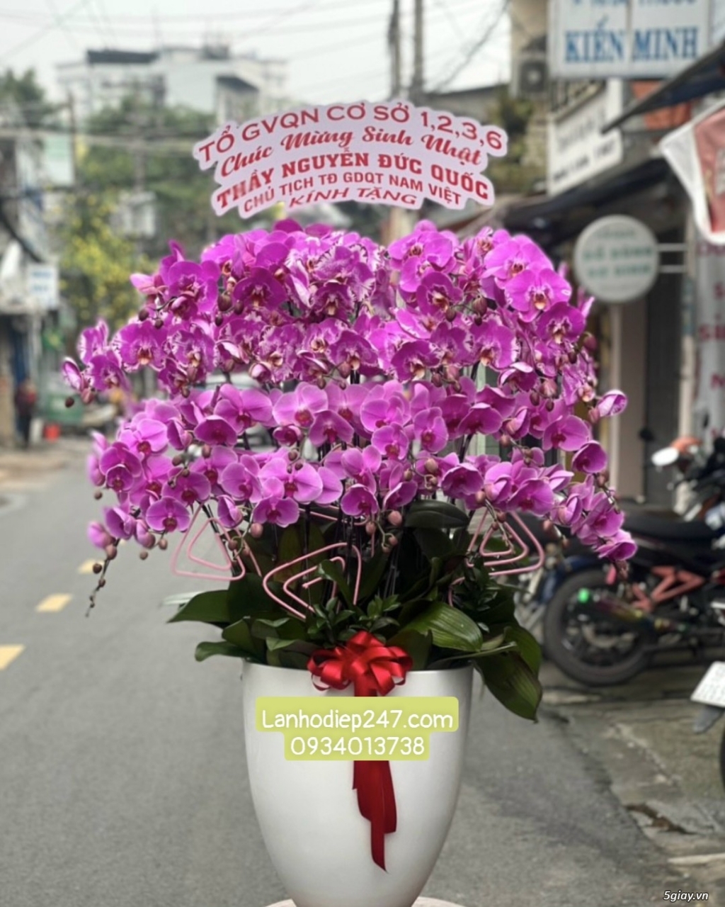 Điện hoa Sài Gòn 24/7 uy tín chất lượng chuyên bán Lan Hồ Điệp cao cấp - 19