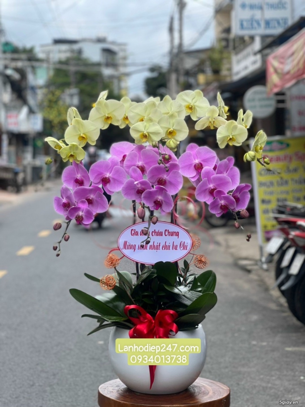 Điện hoa Sài Gòn 24/7 uy tín chất lượng chuyên bán Lan Hồ Điệp cao cấp - 18