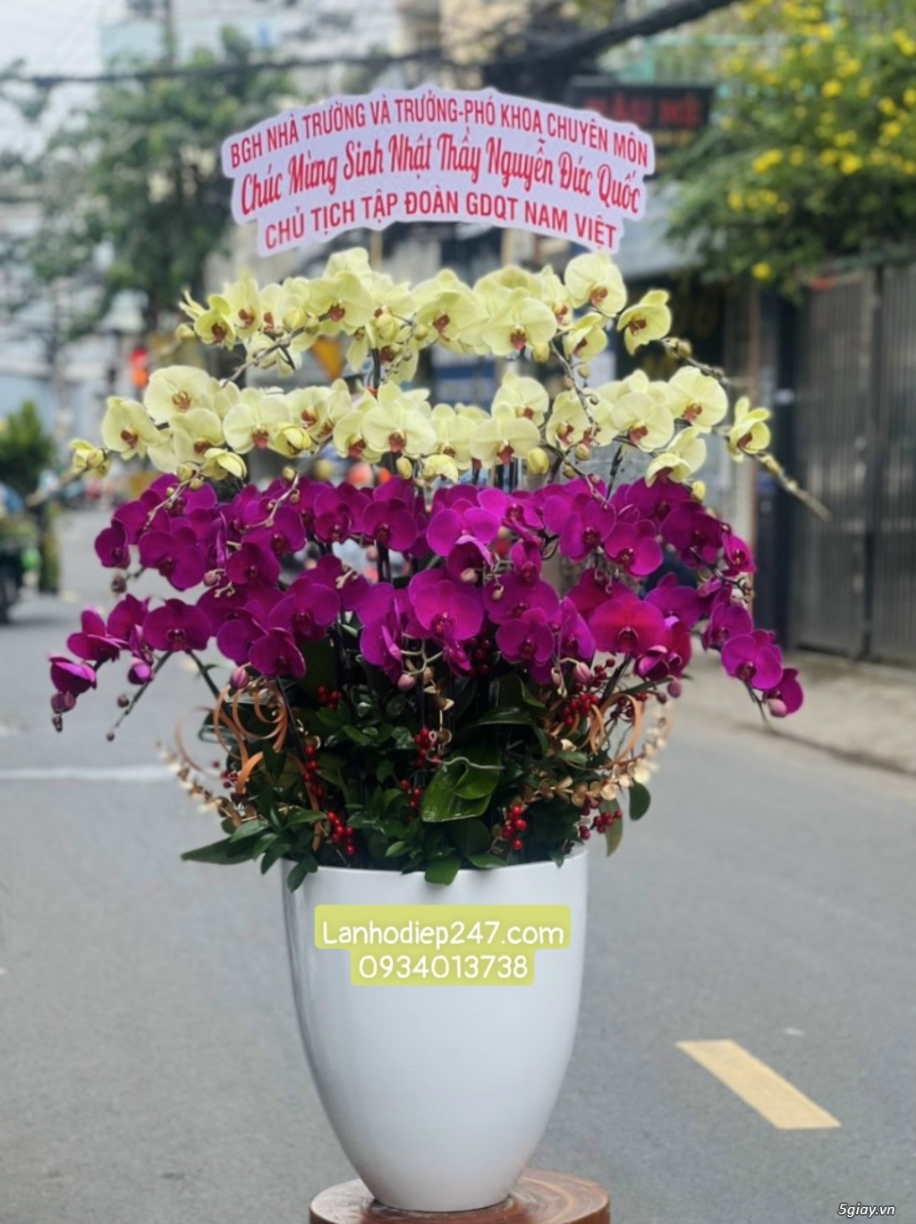 Điện hoa Sài Gòn 24/7 uy tín chất lượng chuyên bán Lan Hồ Điệp cao cấp - 20