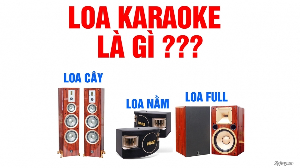 Loa karaoke là gì? Một số loại loa karaoke cơ bản - 16