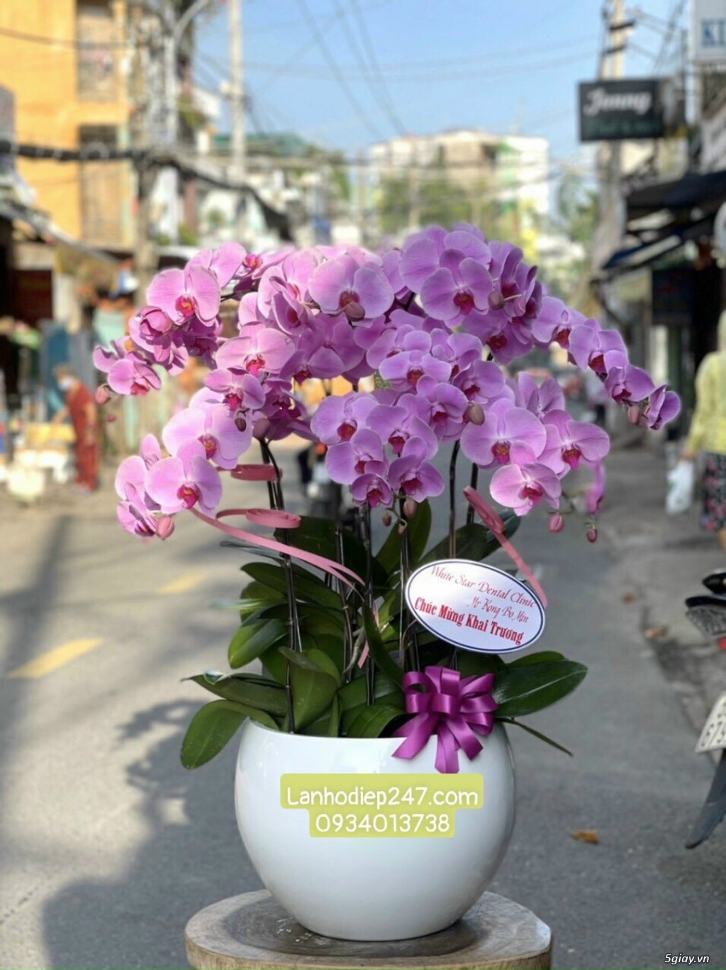 Shop hoa tuoi sai gon 24/7 chuyên cung cấp Lan Hồ Điệp hàng đầu tphcm - 14