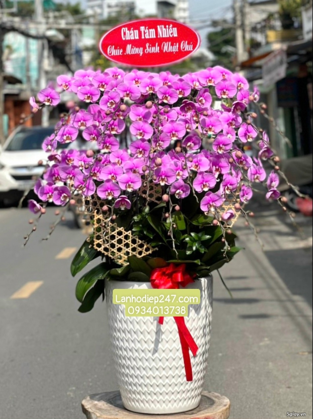 Shop hoa tuoi sai gon 24/7 chuyên cung cấp Lan Hồ Điệp hàng đầu tphcm - 11