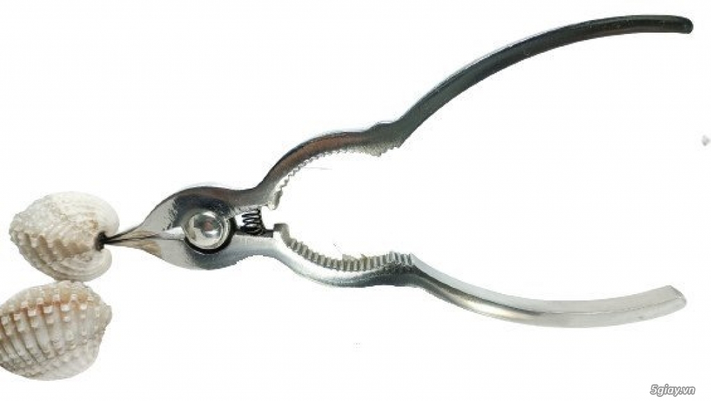 Kềm Tách Sò Huyết inox 304 MIT Solution