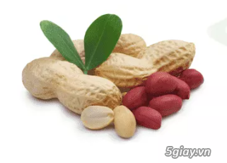 Thủ tục nhập khẩu đậu phộng_Lạc