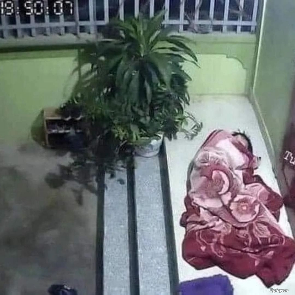 Hình hài hước... Nhiều thể loại vui nhôn - 2