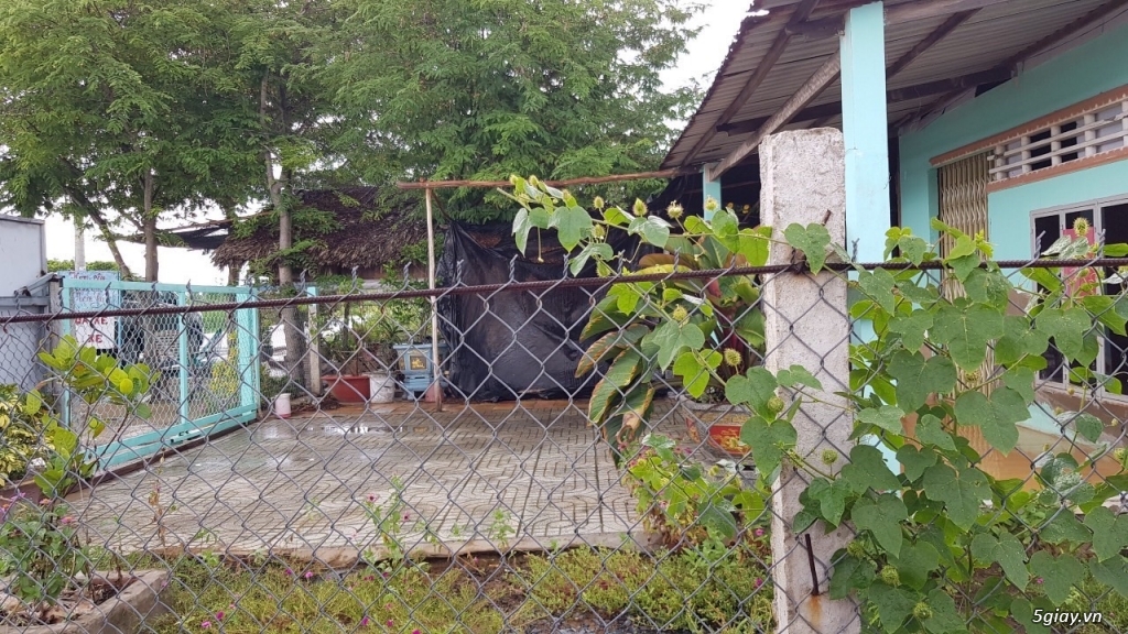 Bán lô đất hai mặt tiền Tam Thôn Hiệp, x.Tam Thôn Hiệp, Cần Giờ