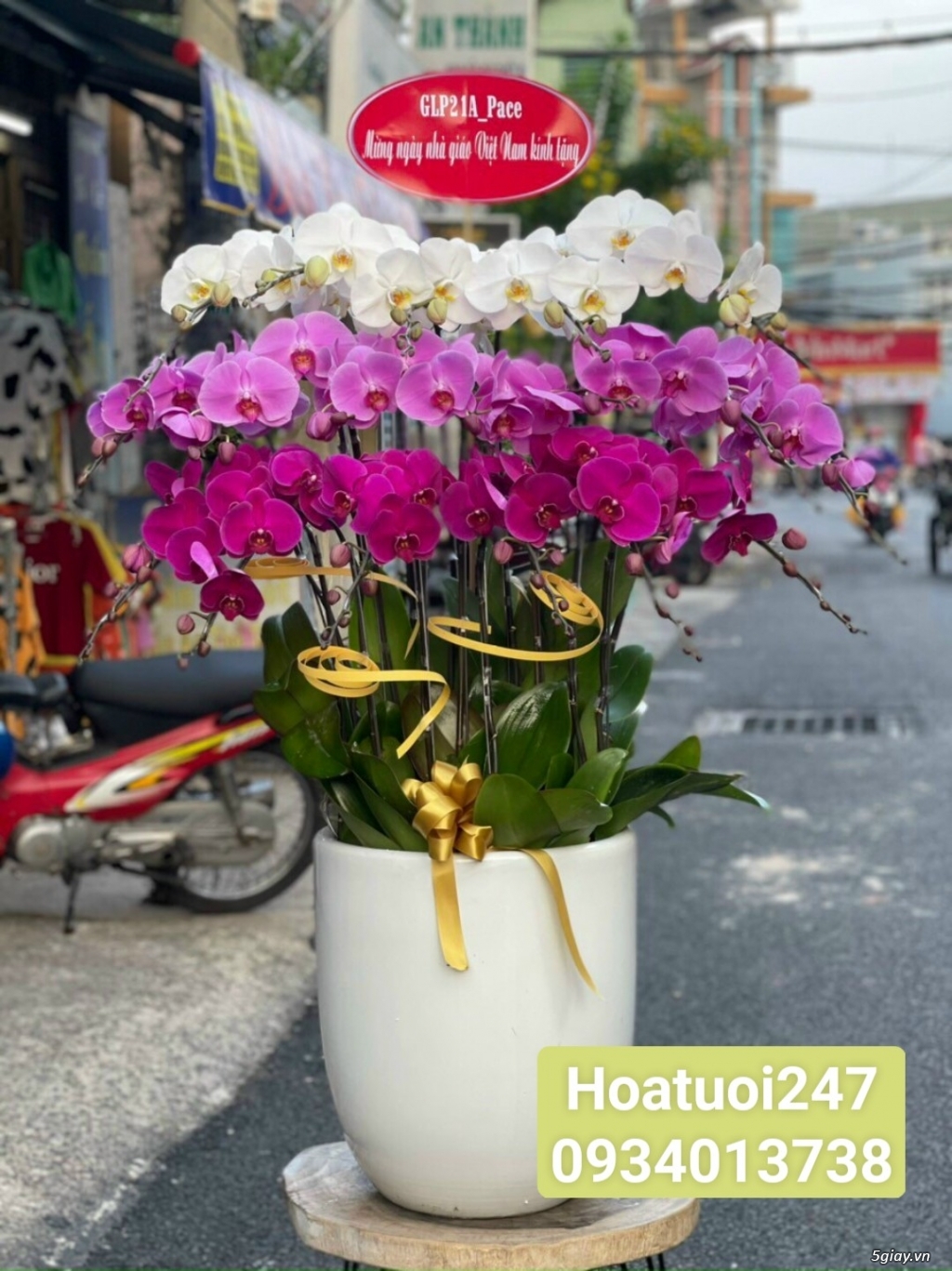 Điện hoa tươi tphcm 24/7 chuyên hoa Lan Hồ Điệp cao cấp số 1 Việt Nam - 16