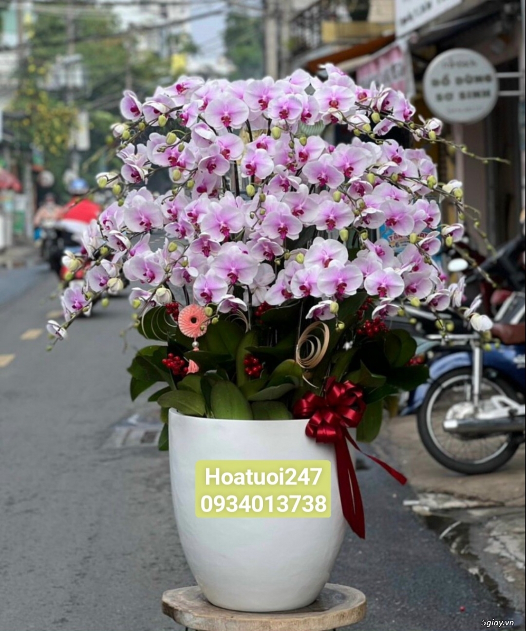 Điện hoa tươi tphcm 24/7 chuyên hoa Lan Hồ Điệp cao cấp số 1 Việt Nam - 15