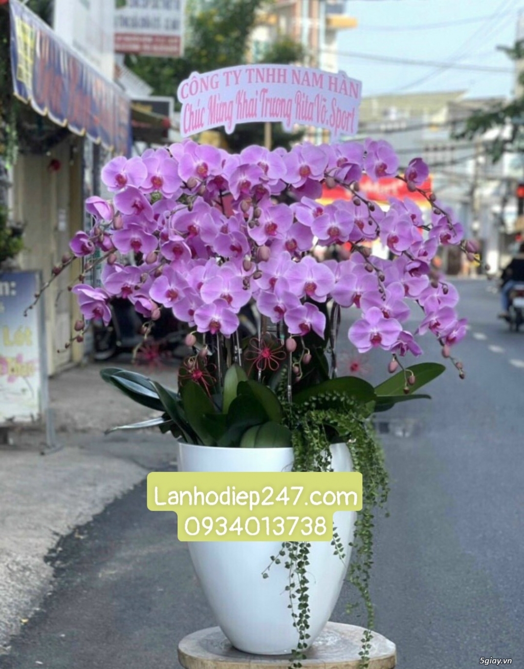 Điện hoa tươi tphcm 24/7 chuyên hoa Lan Hồ Điệp cao cấp số 1 Việt Nam - 18