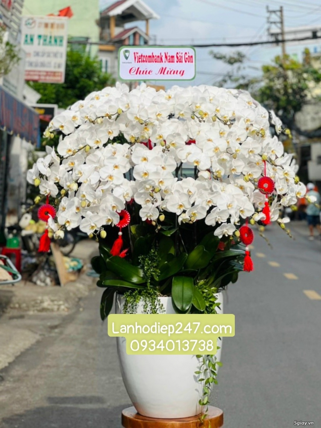 Điện hoa tươi tphcm 24/7 chuyên hoa Lan Hồ Điệp cao cấp số 1 Việt Nam - 19