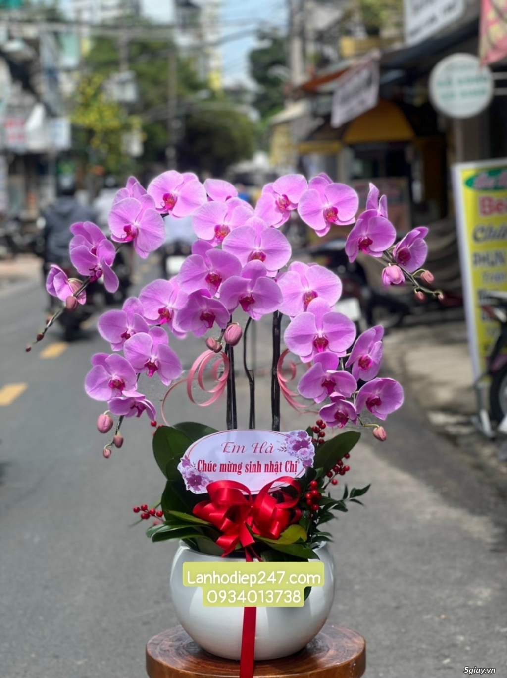 Hoa tươi sài gòn 24/7 chuyên cung cấp lan hồ điệp đẹp tặng sinh nhật - 17