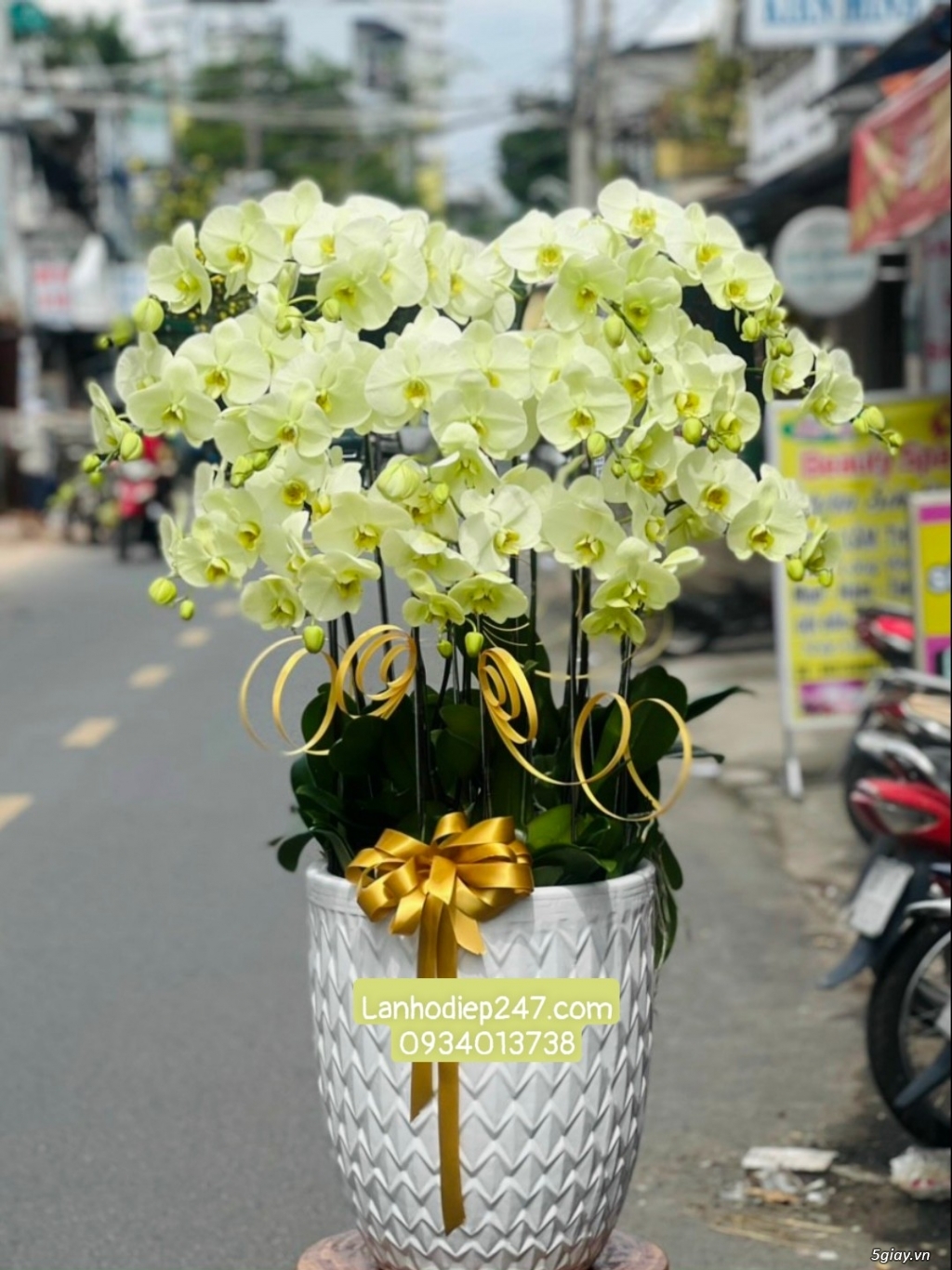 Hoa tươi sài gòn 24/7 chuyên cung cấp lan hồ điệp đẹp tặng sinh nhật - 20