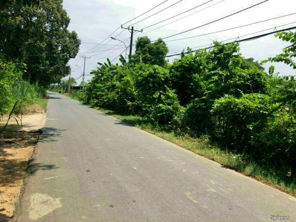 Bán lô đất mặt tiền Trương Thị Kiện, x.Thái Mỹ, Củ Chi - 3