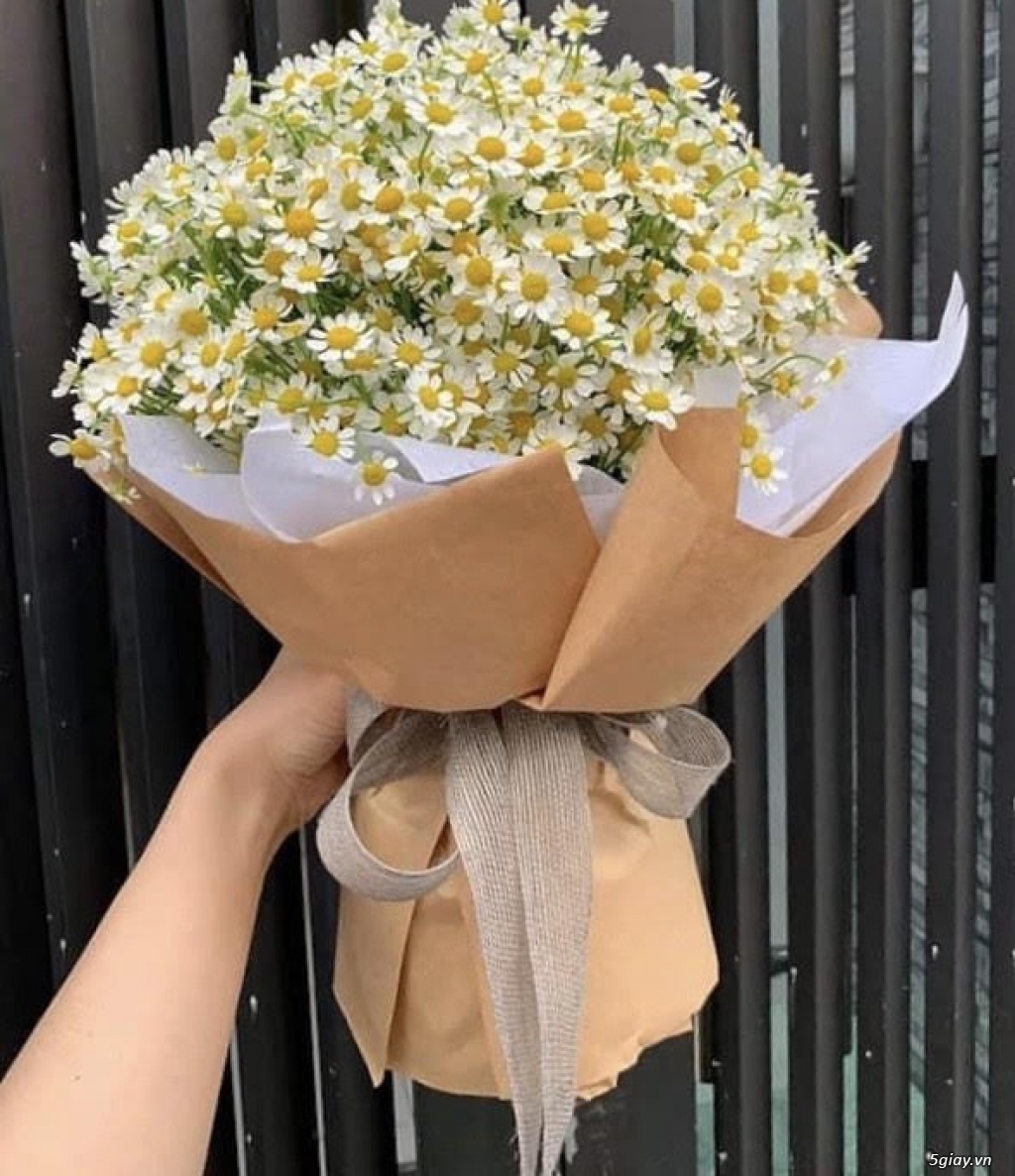 Hoa Tana đẹp giá rẻ tại Hồ Chí Minh - 2