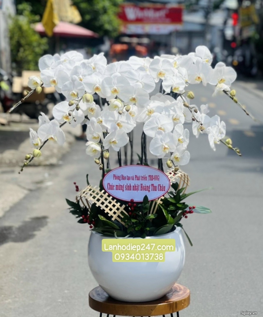 Shop hoa tuoi 24/7 tphcm phục vụ hoa lan hồ điệp uy tín toàn quốc - 17
