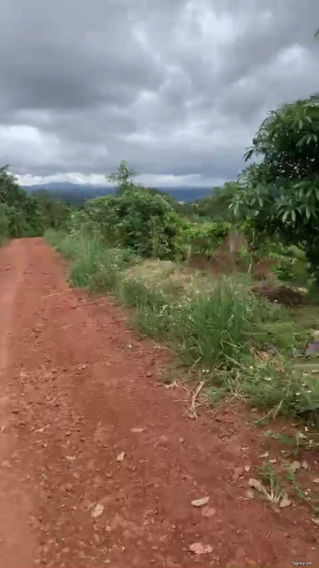 Bán lô đất đường QL 28, Tân Châu, H.Di Linh, Lâm Đồng