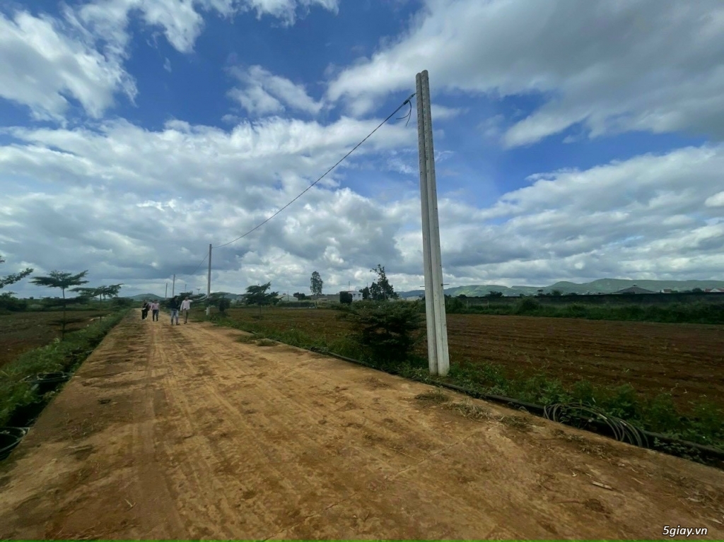 Bán gấp đất Quốc Lộ 20, thị trấn Liên Nghĩa, H.Đức Trọng, Lâm Đồng - 12