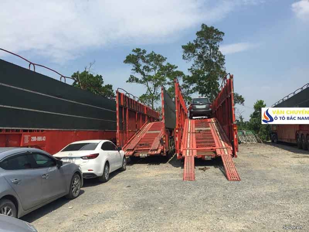 Ảnh số 15