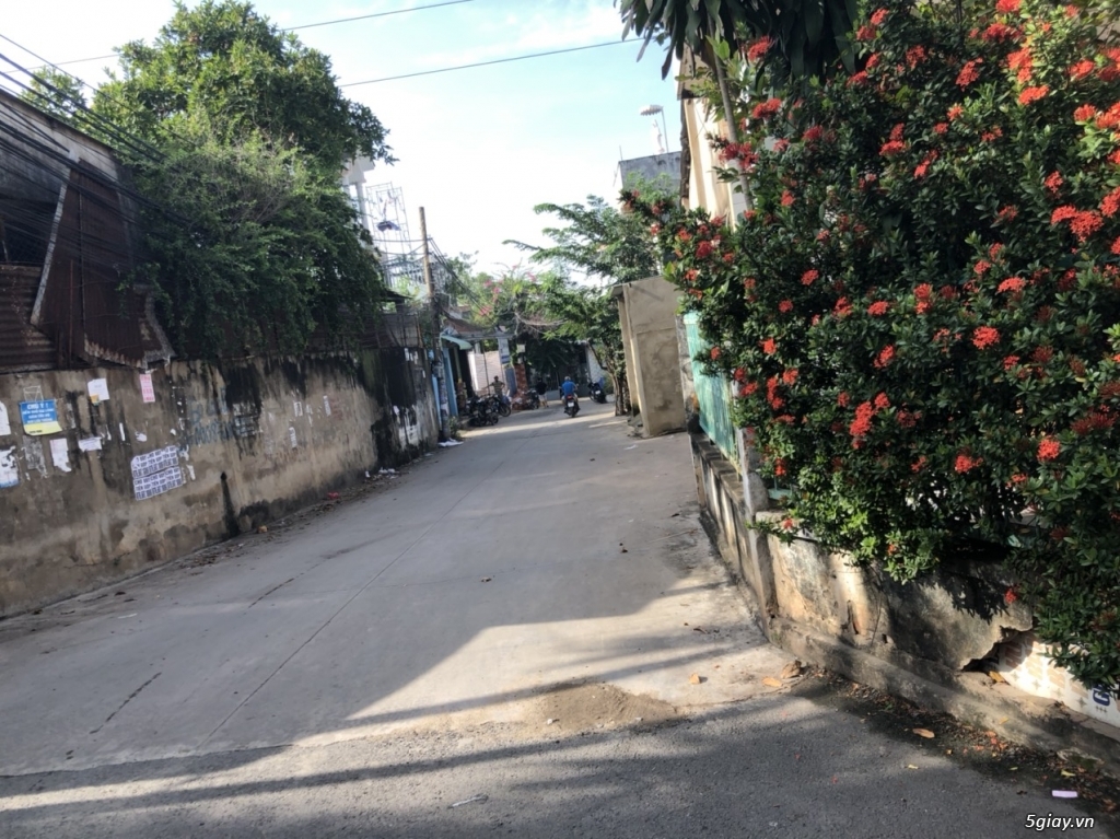 Bán nhà cấp 4 Trần Thị Hoa, P.An Bình, Biên Hoà - 4