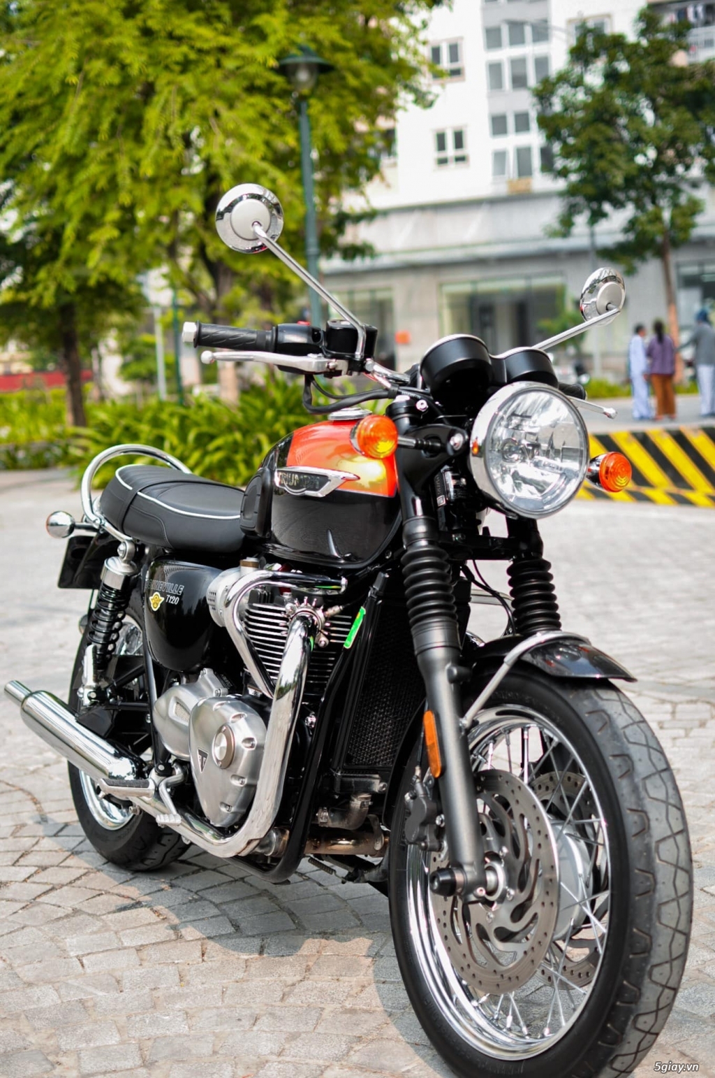 Triumph Bonneville T120 2020 Chính Hãng New 100% - 4