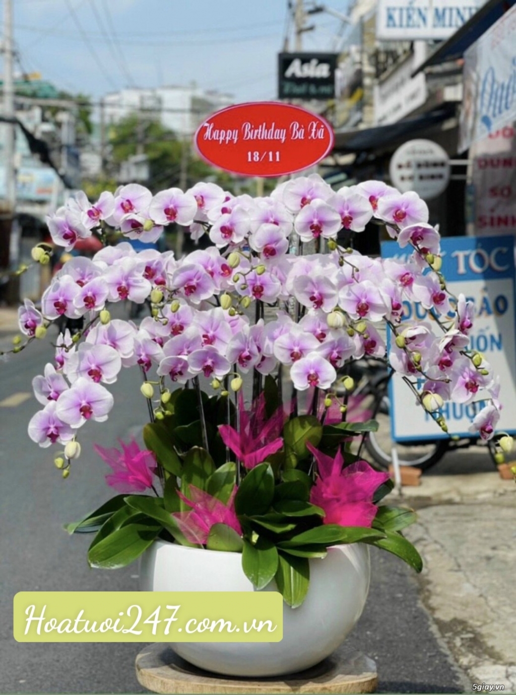 Shop hoa 247 chuyên bán hoa lan hồ điệp cao cấp chất lượng nhất TPHCM - 10