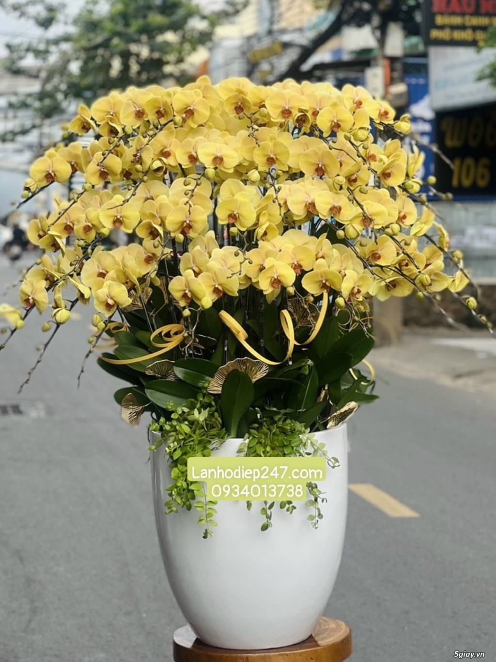 Những mẫu hoa lan đẹp nhất tặng khai trương ý nghĩa tại Hoa Lan 24/7 - 17