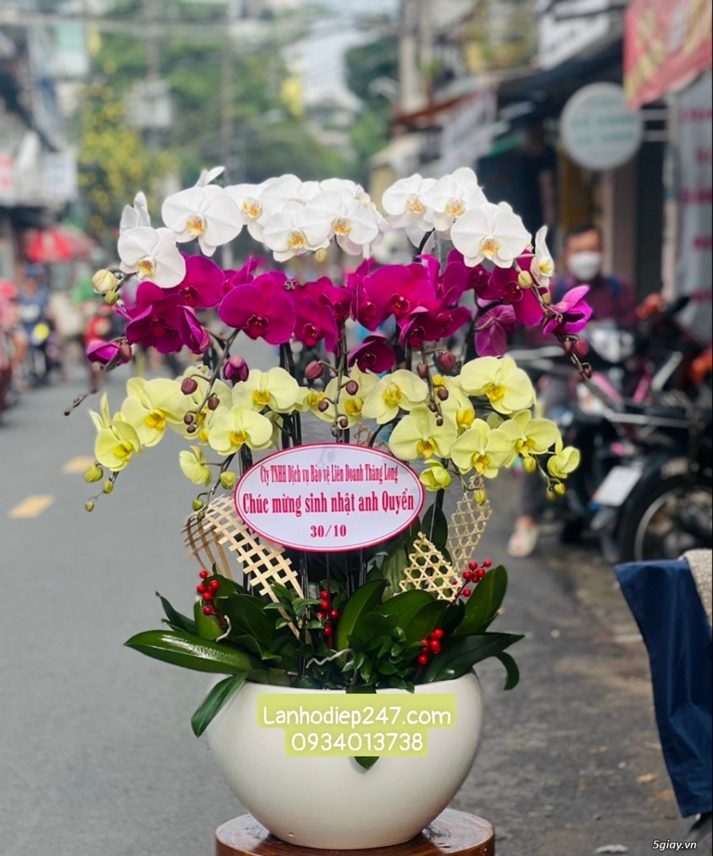 Những mẫu hoa lan đẹp nhất tặng khai trương ý nghĩa tại Hoa Lan 24/7 - 19