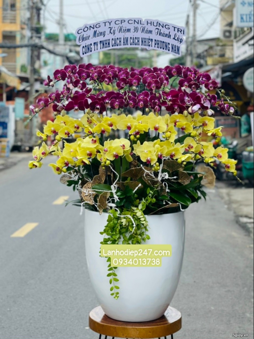 Những mẫu hoa lan đẹp nhất tặng khai trương ý nghĩa tại Hoa Lan 24/7 - 18