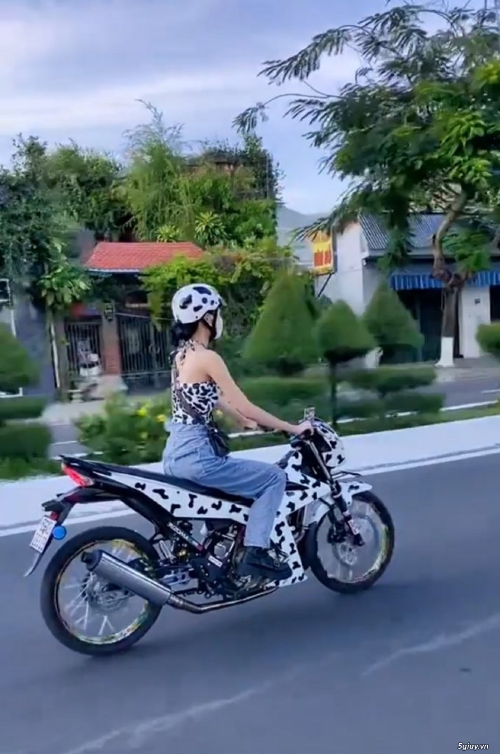Hình hài hước... Nhiều thể loại vui nhôn - 4