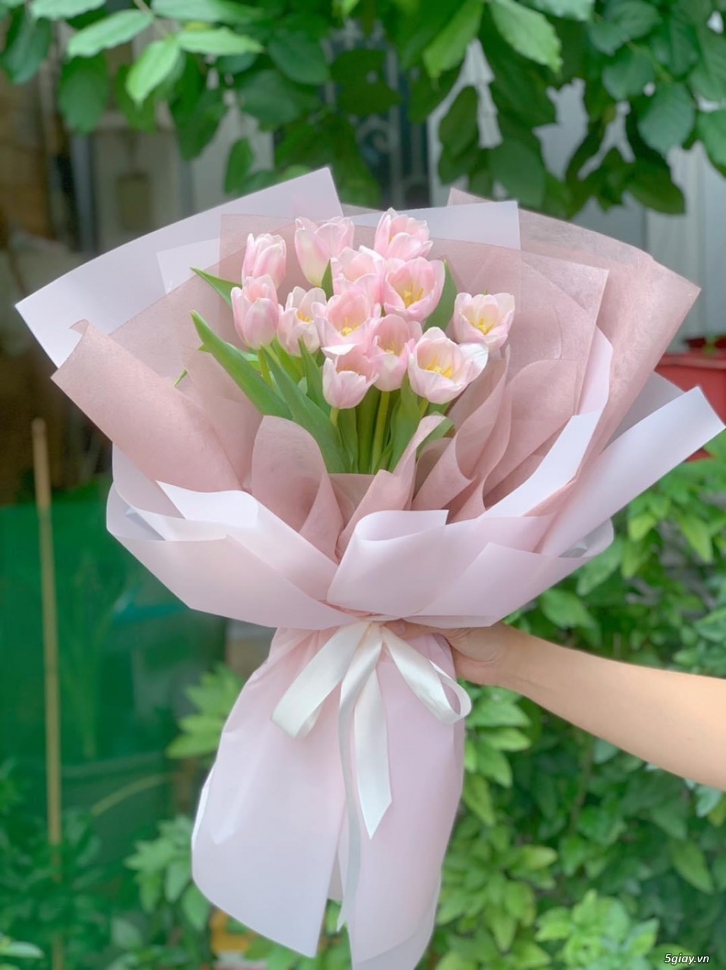Top 5 loại hoa đẹp tặng người yêu đẹp và ý nghĩa nhất - 3