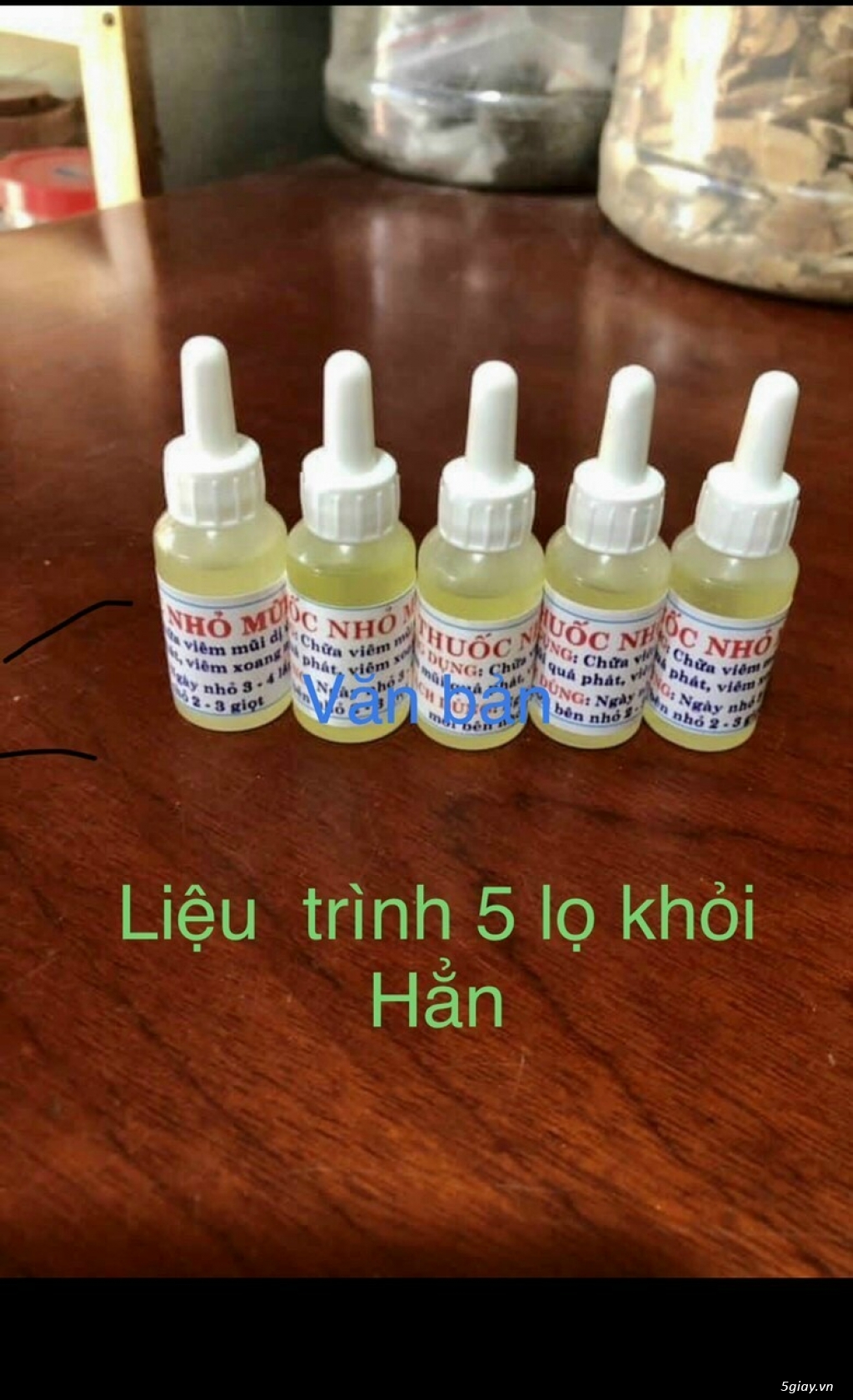 Thảo dược viêm xoang viêm mũi dị ứng Thanh mai