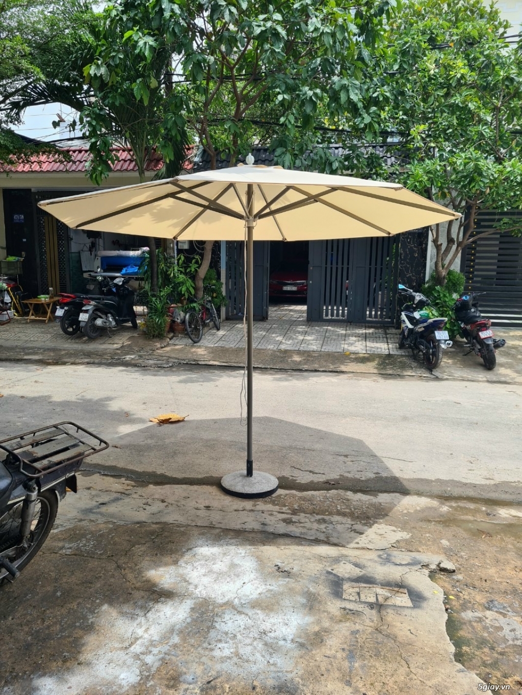 dù chính tâm 3m - 3