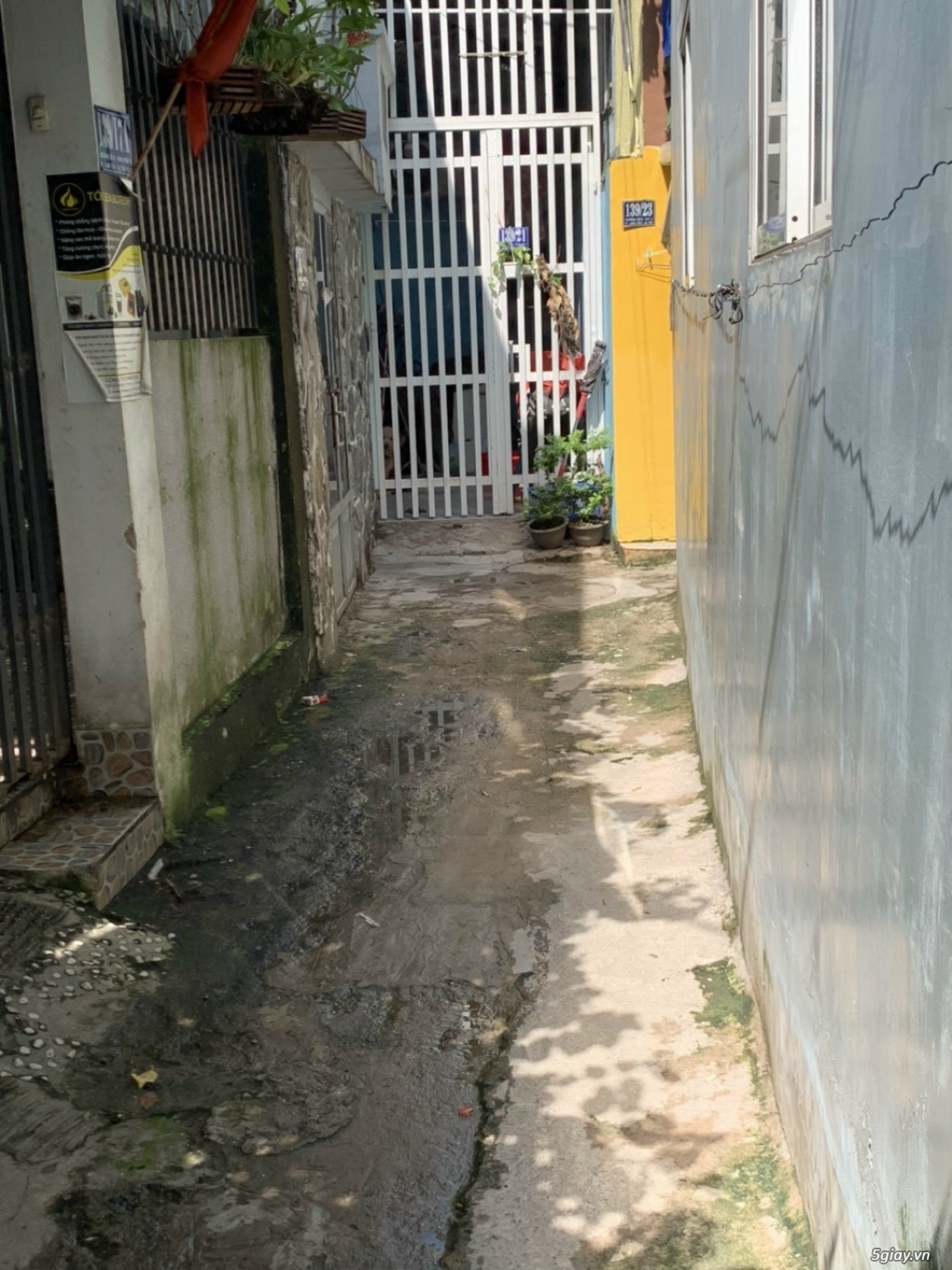 Hàng Hiếm  đường số 9 Linh Tây. - 2