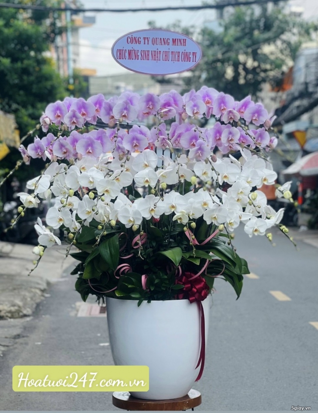 Những chậu Lan Hồ Điệp cao cấp đẹp nhất tại Shop hoa lan 24/7 TPHCM - 17