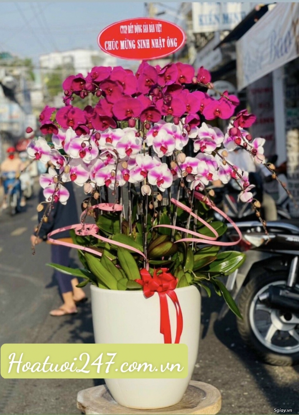 Những chậu Lan Hồ Điệp cao cấp đẹp nhất tại Shop hoa lan 24/7 TPHCM - 18