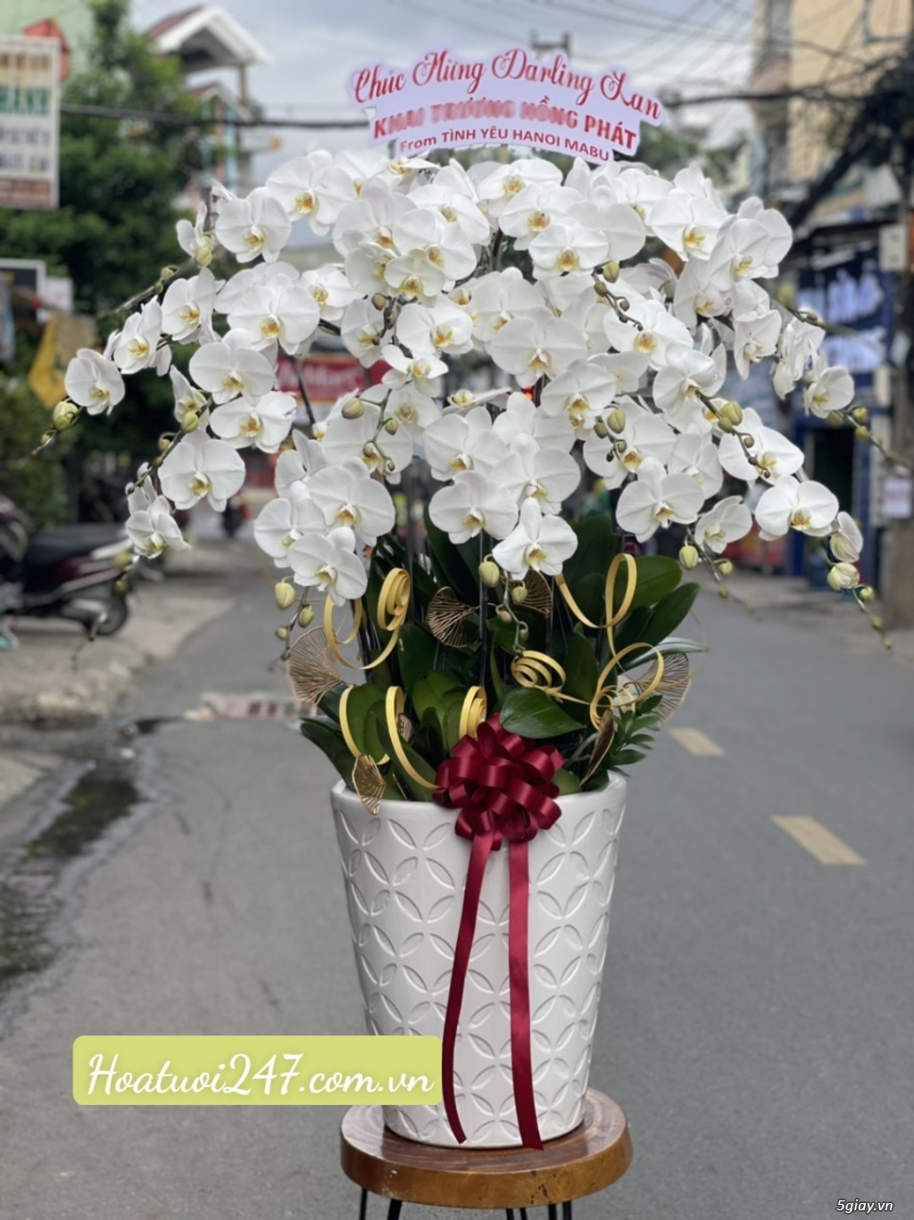 Những chậu Lan Hồ Điệp cao cấp đẹp nhất tại Shop hoa lan 24/7 TPHCM - 19