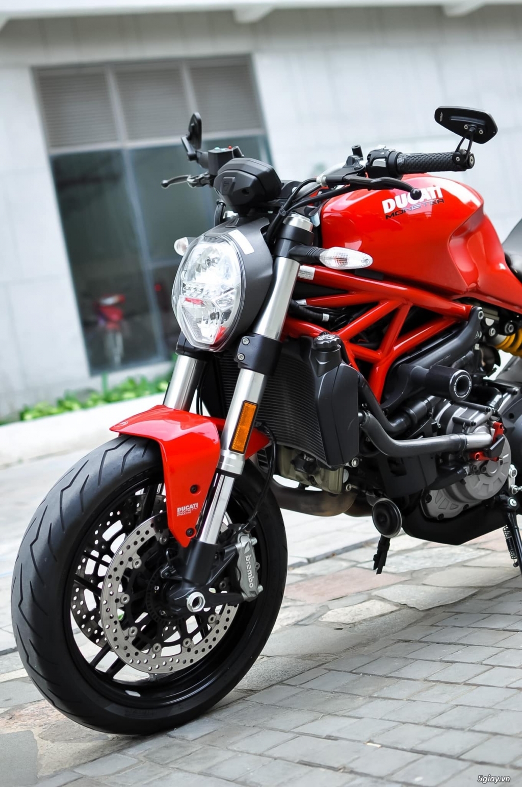 Ducati Monster 821 2021 Chính Hãng New 100% - 3