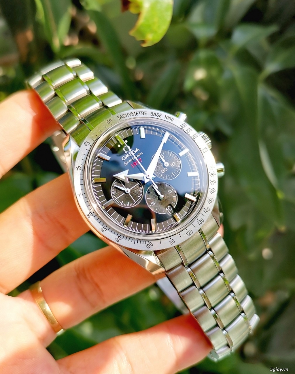 Tp hcm Omega Broad Arrow 1957, Full Box, - 3