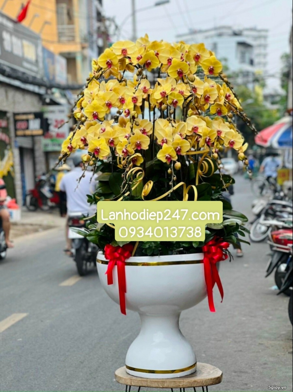 Shop hoa bán lan hồ điệp đẹp uy tín hút khách nhất tphcm - Hoatuoi247 - 16